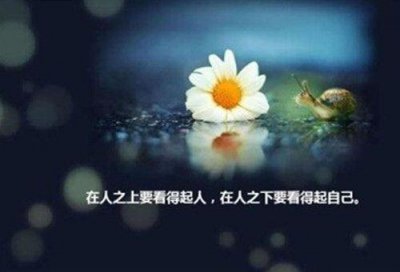 ​青春语录小清新长句(精选65句)
