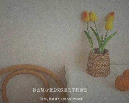 感叹时光流逝的句子