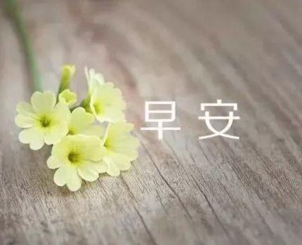 关于委婉表白的英语句子