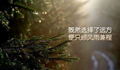 ​简短的富含哲理句子49条
