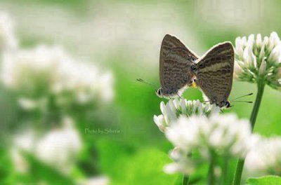 ​又短又好的摘抄句子 好句好段大全摘抄推荐33句