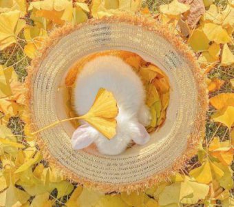 ​很霸气很拽的句子适合高冷的你(精选27句)