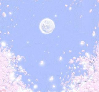 ​关于态度的人生感悟句子