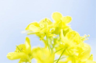 ​表现传统节日的诗句84句