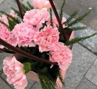 ​思念爱情的诗句49句