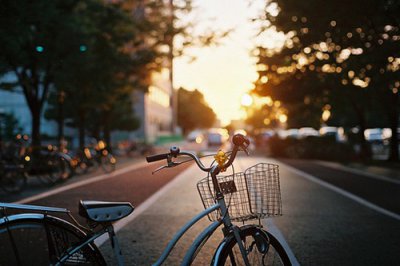 ​爱情精美句子81句