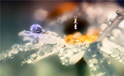 ​适合秋天发的抖音文案 秋发朋友圈