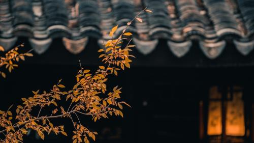 微信朋友圈广告文案