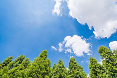​好天气好心情经典句子 夸天气好心情好的句子