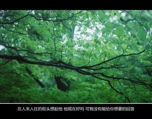 简短小清新文艺说说