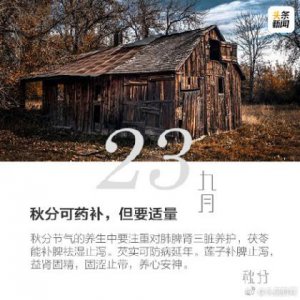 简短小清新文艺说说 女生经典文艺的句子说说心情