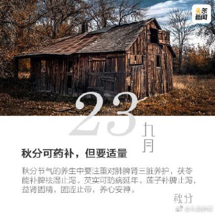 简短小清新文艺说说