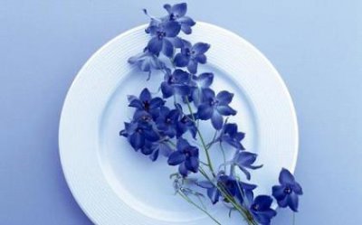 ​享受美食的心情短语（关于形容美食的小短句）