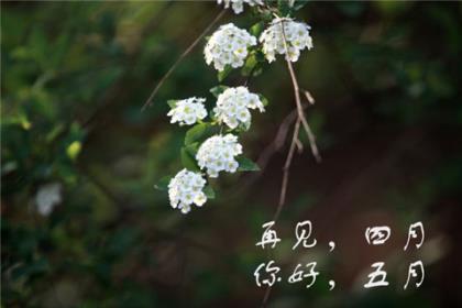 说说心情短语人生哲理