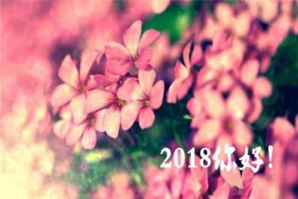 关于好心情的句子