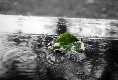 ​雨中的句子心情短语（下雨天的心情说说 朋友圈经典语录）