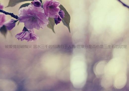 文艺拒绝人表白的句子