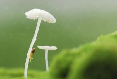 ​江小白语录经典语快手