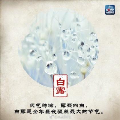 情话最暖心句子20个字