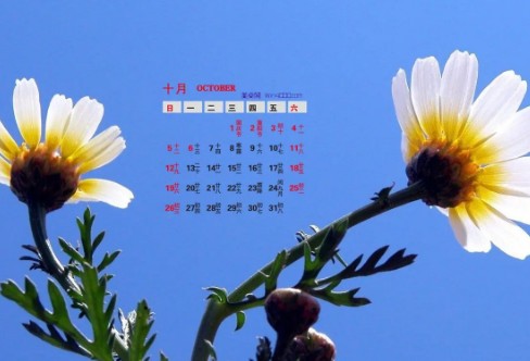 1710858498127167.png image.png