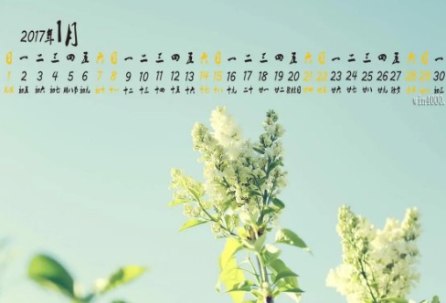1710858835776250.png image.png