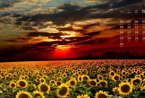 1710858666105535.png image.png