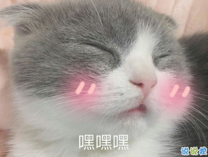 抖音里撩人的语录超甜最新 小猪佩奇你配我