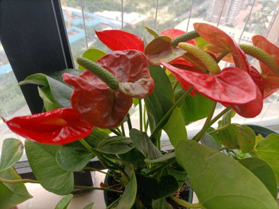 ​感谢员工的付出和激励的短句（20句感谢员工一路相伴的话）