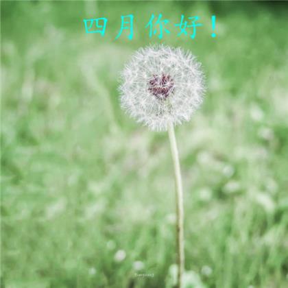 爱情宣言感动语20字