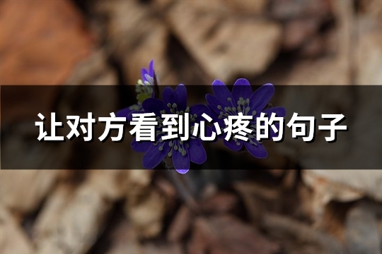 让对方看到心疼的句子(优选83句) 让对方看到心疼的句子(优选83句)