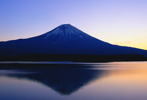 1702259306568424.png image.png