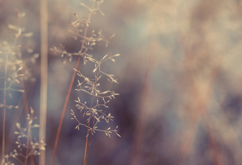 1702349171609119.png image.png