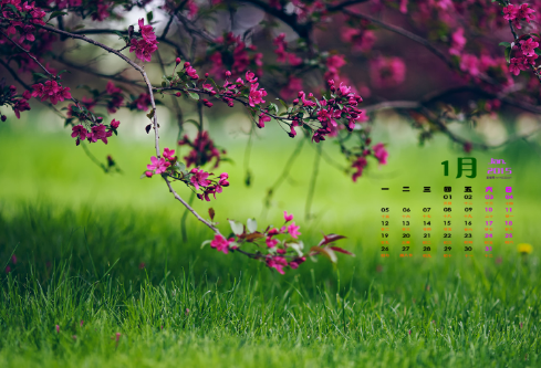 1702269902416085.png image.png