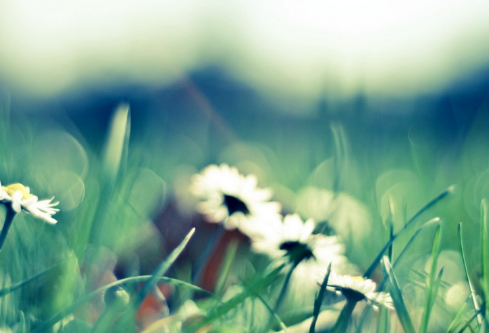 1702332612739531.png image.png