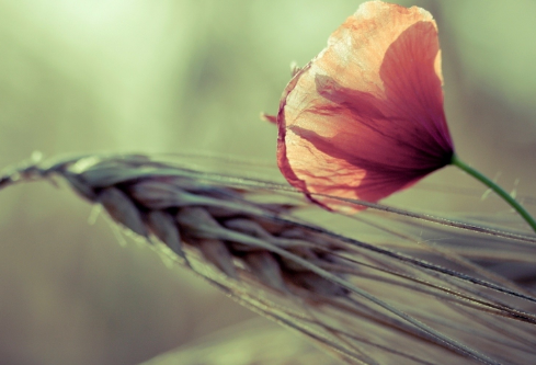 1702334600792721.png image.png