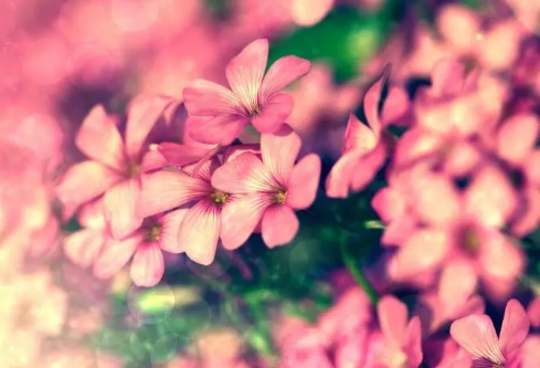 1702333606190124.png image.png