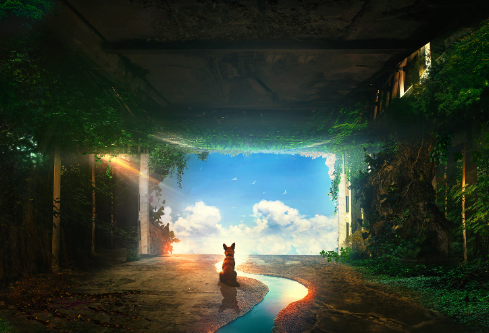 1702388265346447.png image.png