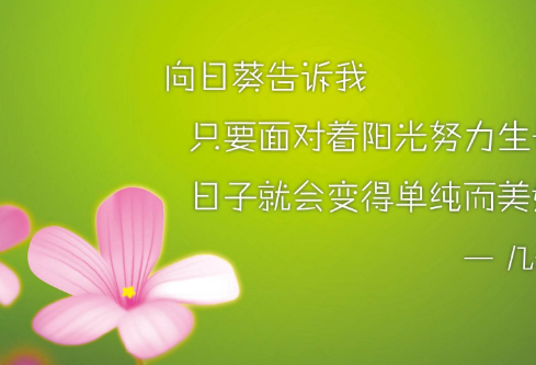 1710962552338613.png image.png