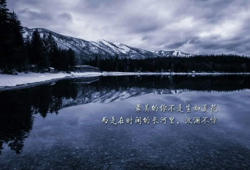 1710957901312026.png image.png