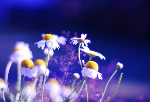 1702387437379289.png image.png