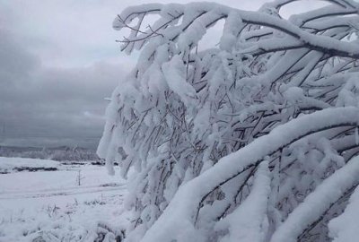 ​描写雪景的句子优美段落 描写雪景的唯美句子短句