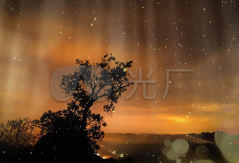 1710991622542419.png image.png