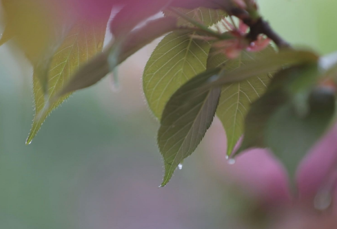 1711181247389974.png image.png