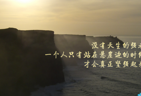 1711385127843651.png image.png