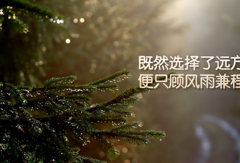 1711387785301368.png image.png