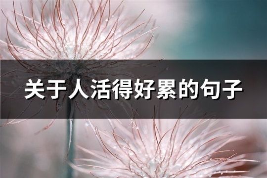 关于人活得好累的句子(通用81句) 关于人活得好累的句子(通用81句)