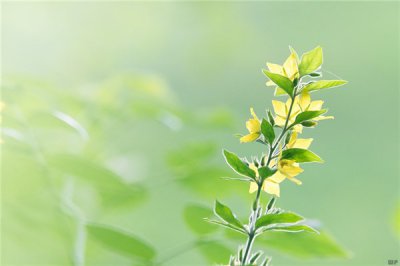 ​现实的句子句句扎心(现实扎心的感悟短语，句句中肯实用，让人一读再读)