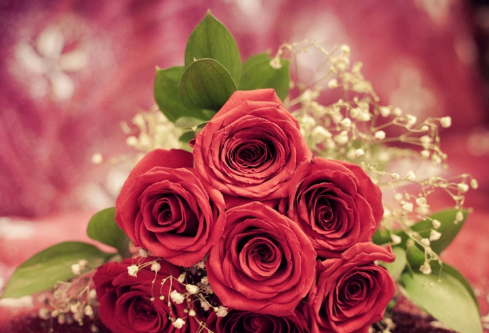 1687524953857431.png image.png