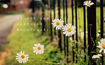 ​清晨早安说说心情短语[40句] (早安心语短句)