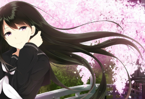 1689591746127589.png image.png